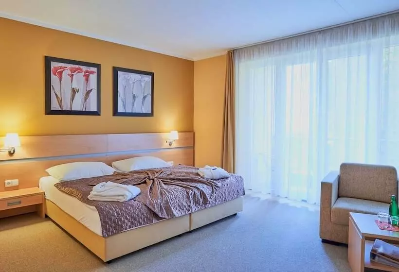 スタンダードルーム, Kurhotel Brussel
