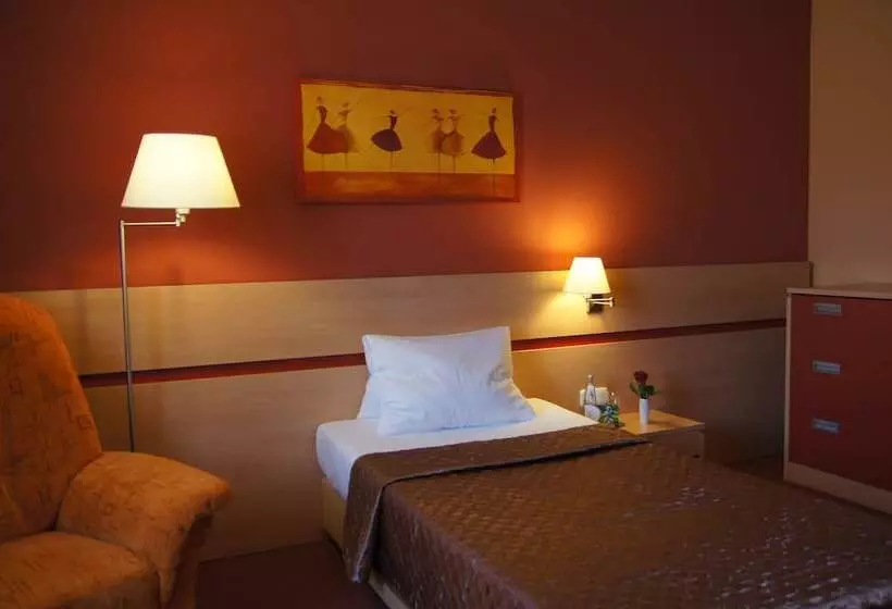 スタンダードシングルルーム, Kurhotel Brussel