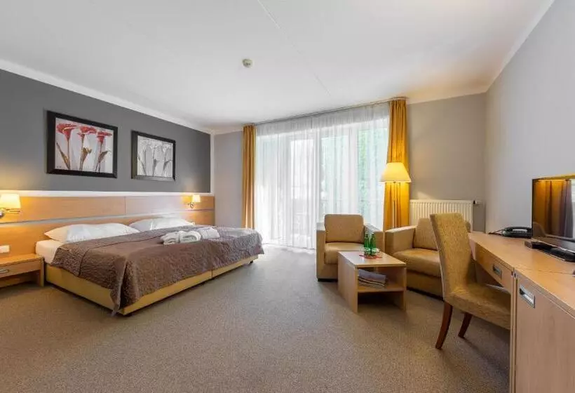 バルコニー付きスタンダードルーム, Kurhotel Brussel