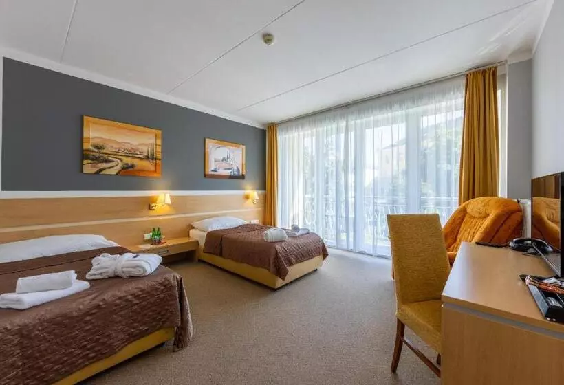 バルコニー付きスタンダードルーム, Kurhotel Brussel