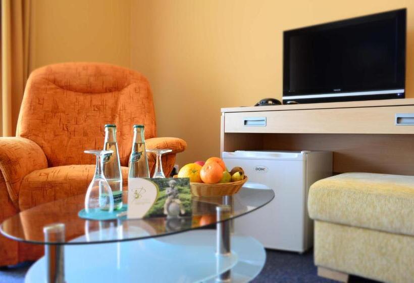 Номер Стандарт с Балконом, Kurhotel Brussel