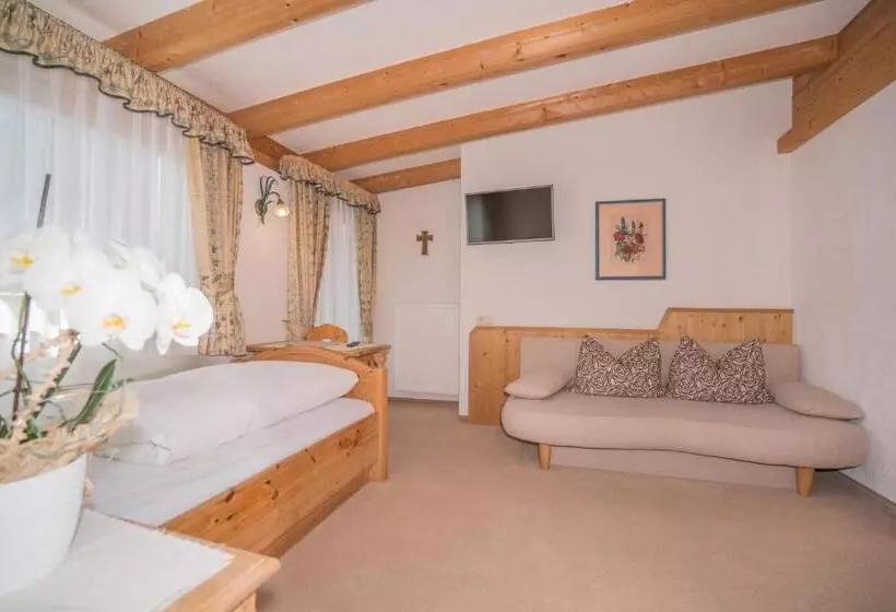 Standard Yhden Hengen Huone, Mineralienhotel Natznerhof