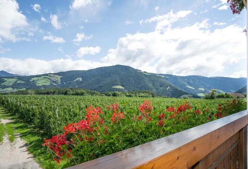 חדר סטנדרט לשלושה, Mineralienhotel Natznerhof