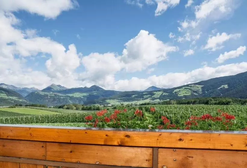 Standard Kolmen Hengen Huone, Mineralienhotel Natznerhof