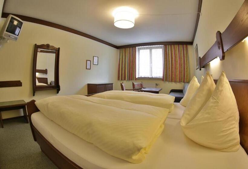 חדר סטנדרט, Gasthof Pontiller