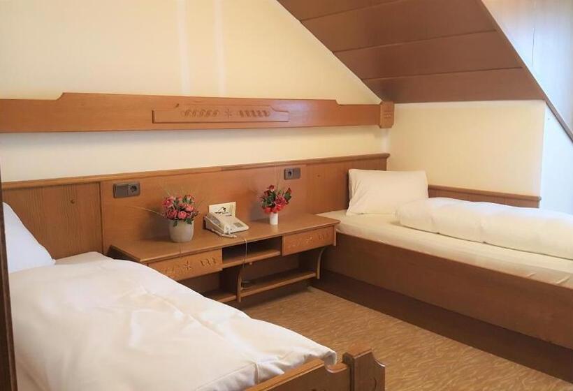 חדר סטנדרט יחיד, Gasthof Pontiller