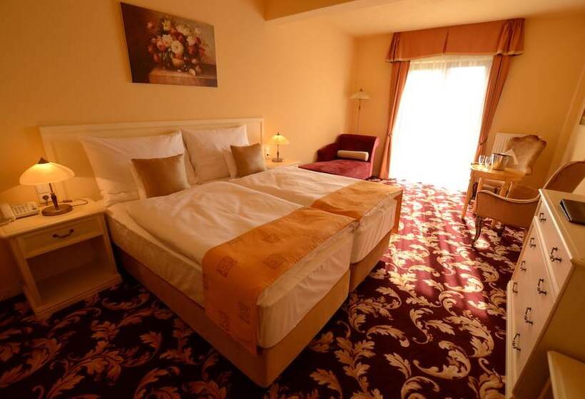 디럭스 룸, Spa Hotel Vita