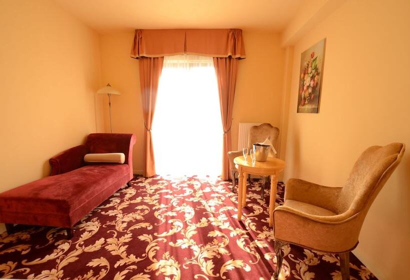 디럭스 룸, Spa Hotel Vita