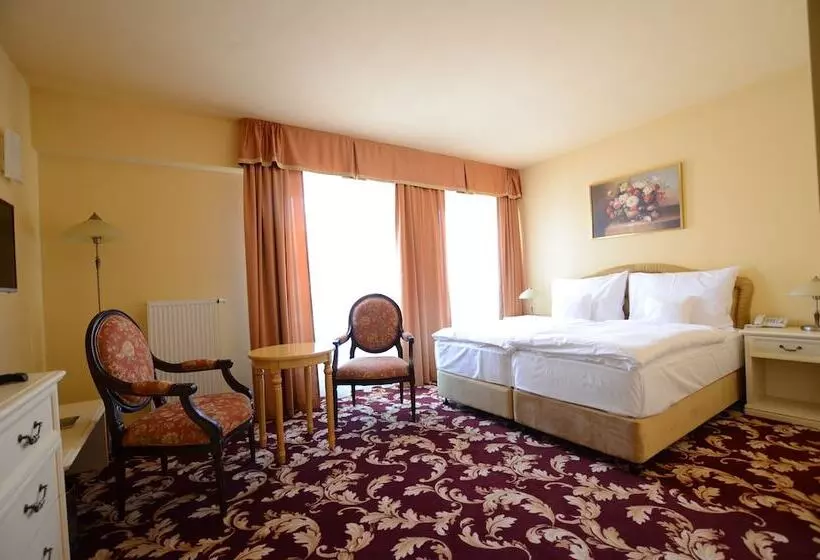 デラックスルーム, Spa Hotel Vita