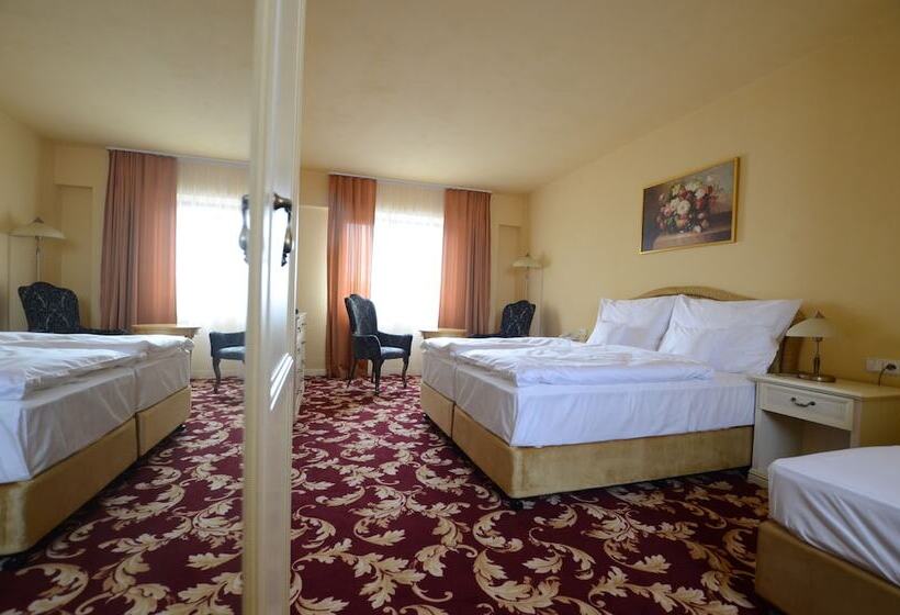 豪华房间, Spa Hotel Vita