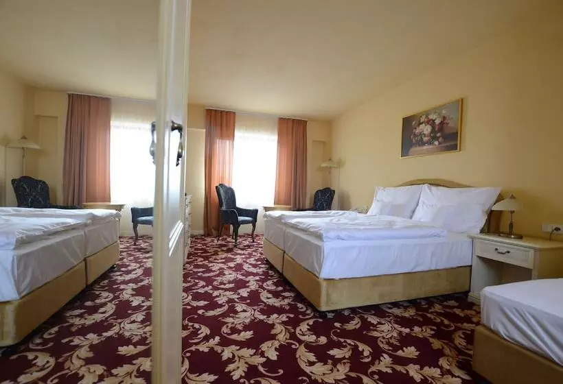 デラックスルーム, Spa Hotel Vita