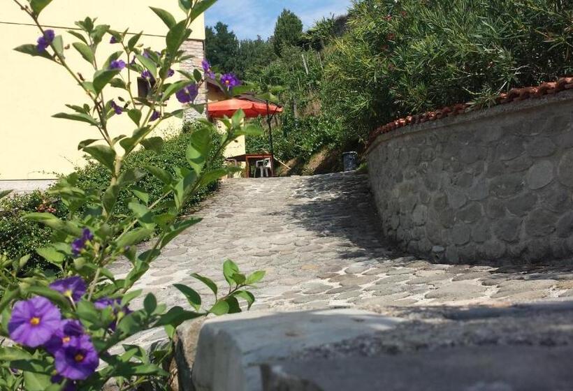 Апартаменты 1 Спальня, Agriturismo Il Poderetto