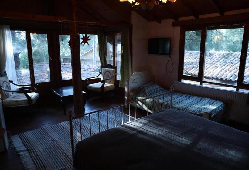 Номер Стандарт Вид на Сад, Kayserkaya Cottages