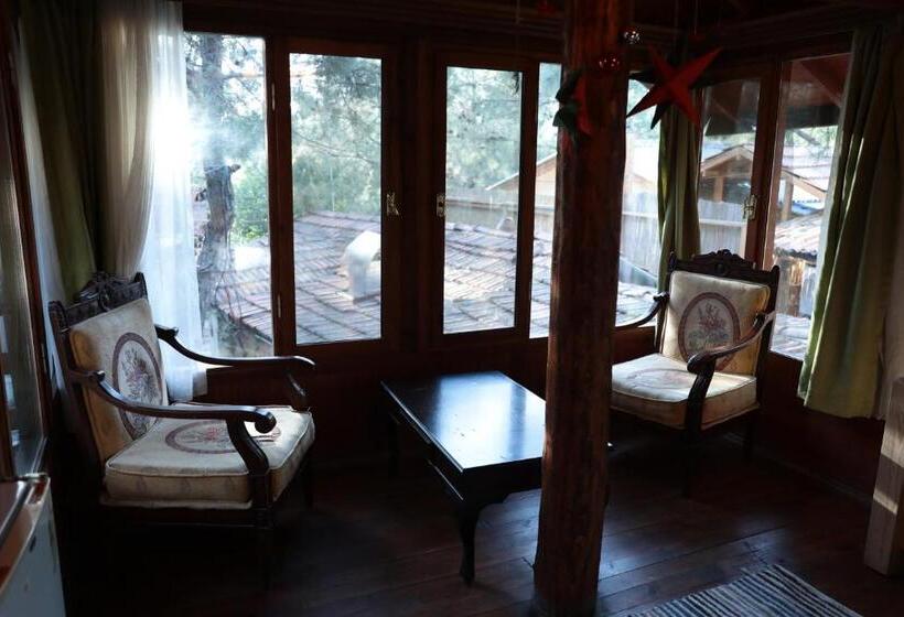 Номер Стандарт Вид на Сад, Kayserkaya Cottages