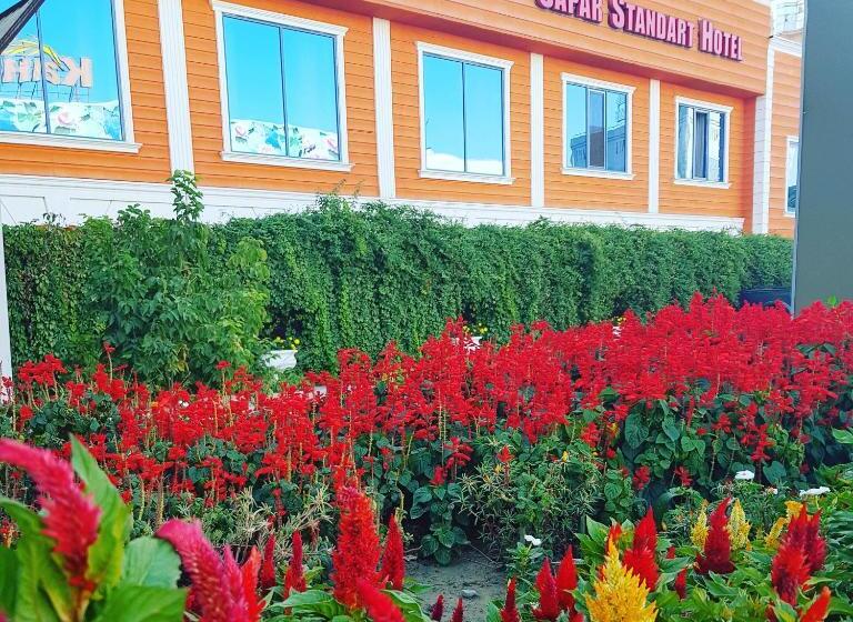 اتاق اکونومی یک تخته, Sapar Standart