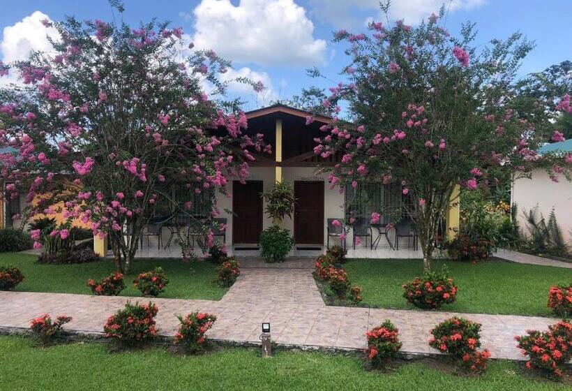 带2个双人床的标准工作室, Villas Vilma