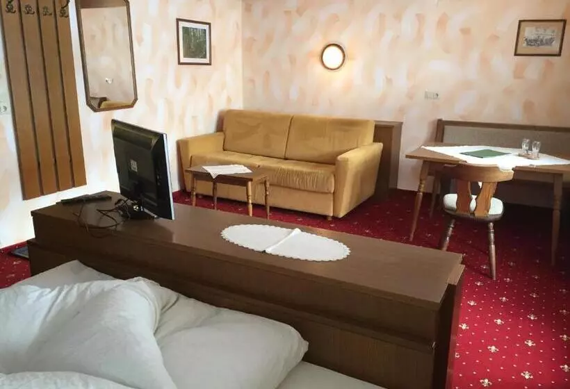 ビュー有りのスタンダードワンルーム, Landhaus Engadin