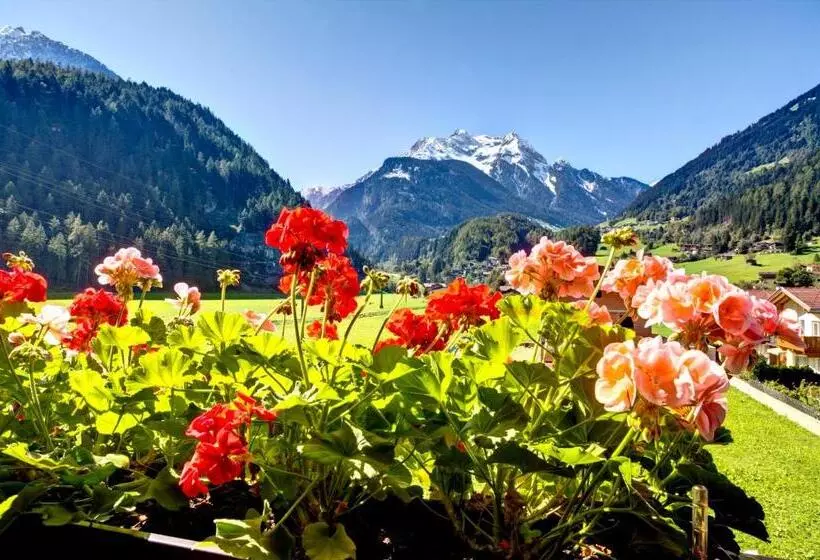 آپارتمان 2 خوابه, Gästehaus Oblasser