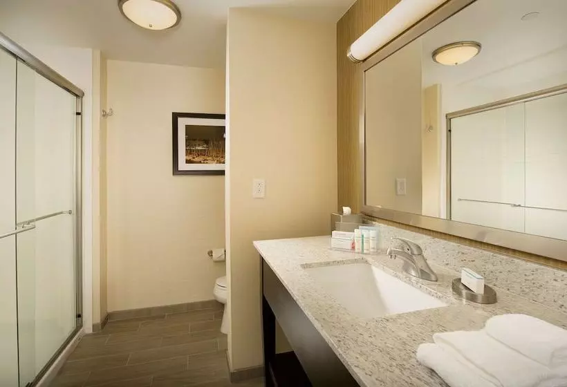 キングサイドベッドのスタンダードワンルーム, Hampton Inn & Suites Baltimore/woodlawn