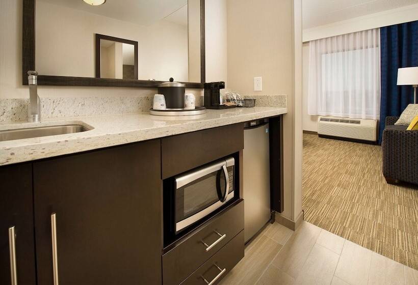 Студио Стандарт Кровать Кинг, Hampton Inn & Suites Baltimore/woodlawn