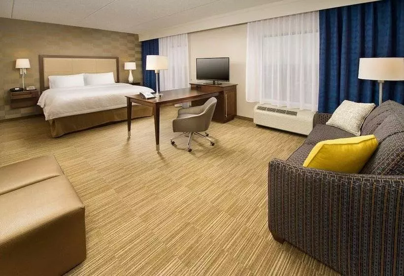 キングサイドベッドのスタンダードワンルーム, Hampton Inn & Suites Baltimore/woodlawn