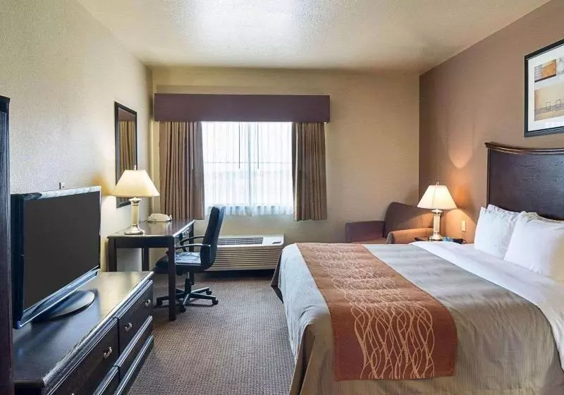 سوئیت 2 خوابه, Hilton Suites Jabal Omar Makkah