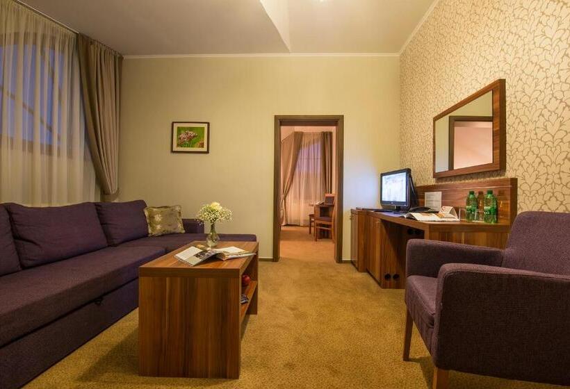 Люкс Superior, Wellness Hotel Spark