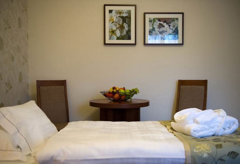 스탠다드 룸, Wellness Hotel Spark