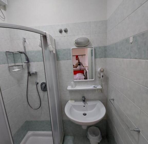 חדר סטנדרט יחיד, Zani