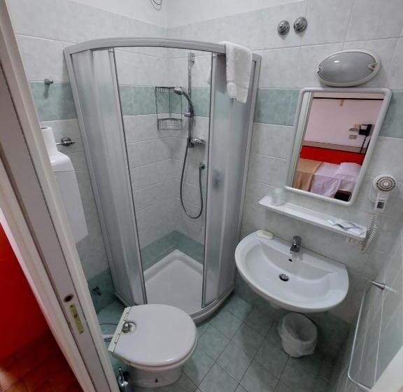 חדר סטנדרט יחיד, Zani