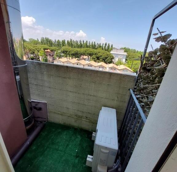 חדר סטנדרט יחיד, Zani