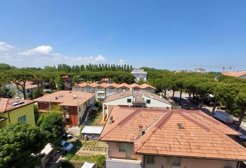 חדר סטנדרט יחיד, Zani