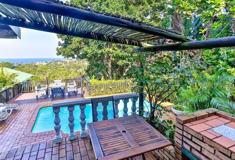 Студия Стандарт Вид на Море, Zuider Zee Guest House