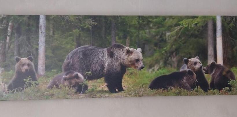 스탠다드 룸, Hôtel Les Deux Cols