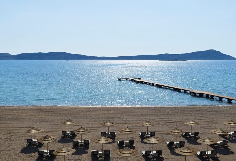 סוויטת 2 חדרי שינה, W Costa Navarino