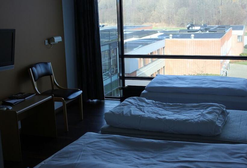 غرفة قياسية ثلاثية, Vingsted Hotel & Konferencecenter