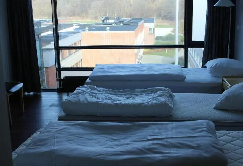 اتاق استاندارد سه نفره, Vingsted Hotel & Konferencecenter