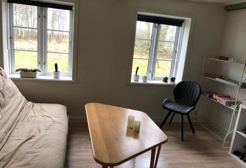 חדר סטנדרט חדר אמבטיה משותף, Holmegaarden B & B K