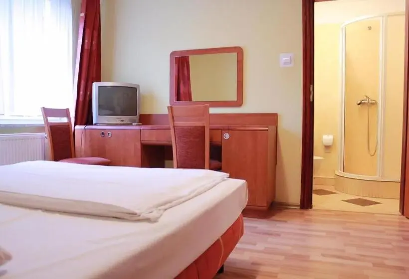 Comfort Yhden Hengen Huone, City Hostel