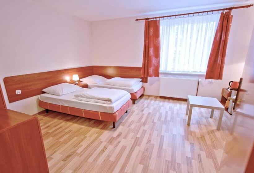 舒适型房间, City Hostel