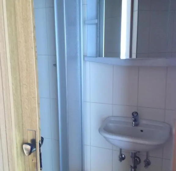 Standard Yhden Hengen Huone, Gasthof Und Pension Haunschmid