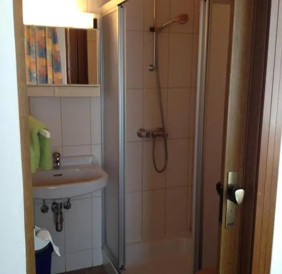Standard Yhden Hengen Huone, Gasthof Und Pension Haunschmid