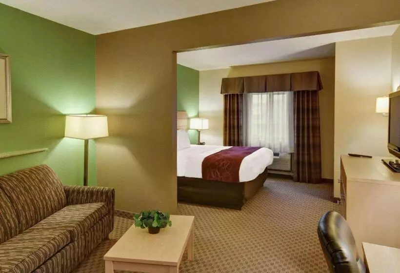キングサイドベッドのスタンダードワンルーム, Comfort Suites Lindale