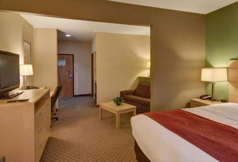 キングサイドベッドのスタンダードワンルーム, Comfort Suites Lindale