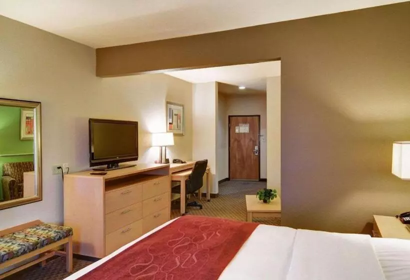 キングサイドベッドのスタンダードワンルーム, Comfort Suites Lindale