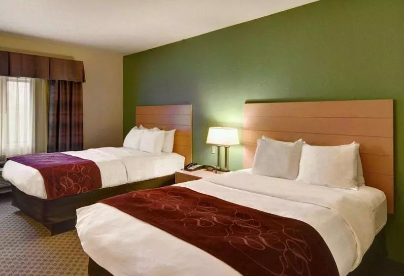 スタンダードスタジオ, Comfort Suites Lindale