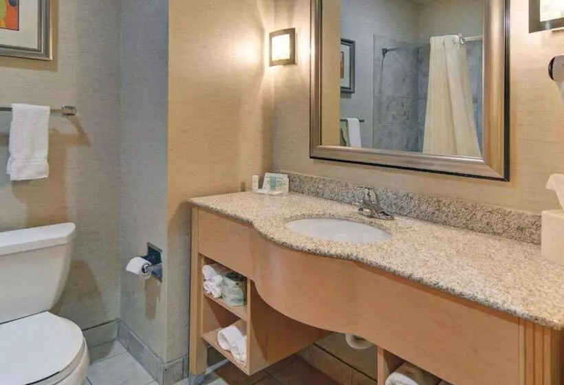 スタンダードスタジオ, Comfort Suites Lindale