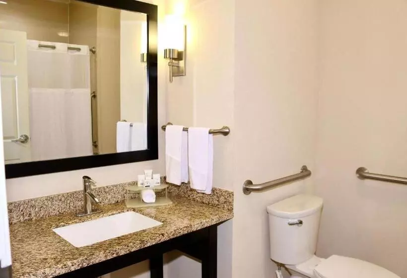 スタンダードルーム, Holiday Inn Express & Suites Houston Northwest Brookhollow, An Ihg
