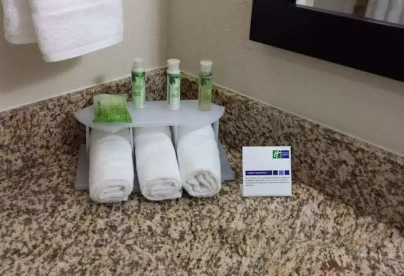 身障者適用スイートルーム, Holiday Inn Express & Suites Houston Northwest Brookhollow, An Ihg