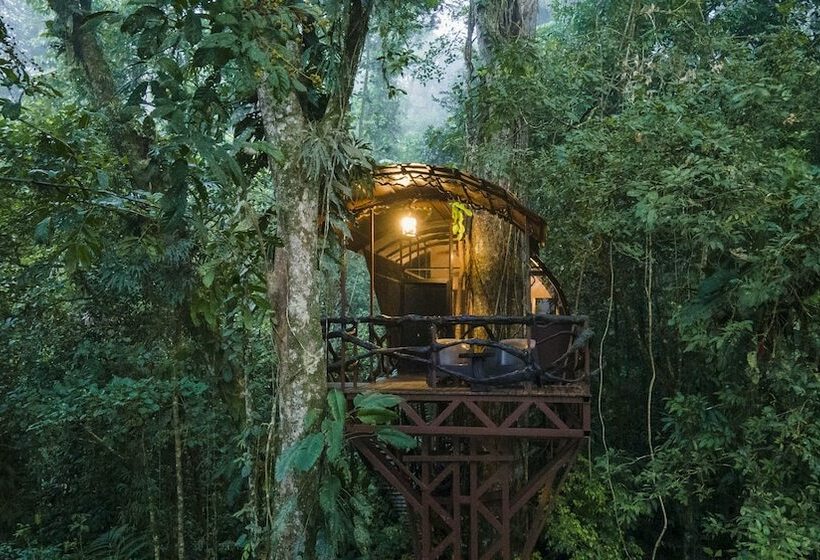 منزل غرفة نوم واحدة, Maquenque Ecolodge